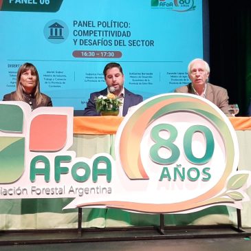Seminario AFoA